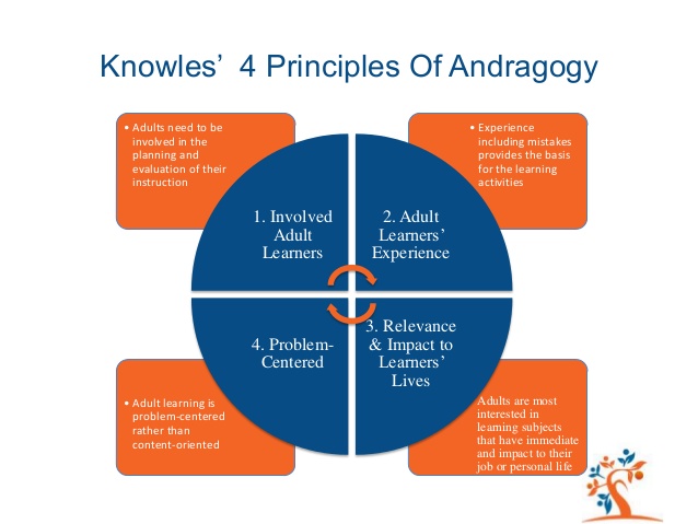 Adult Learning Theory Andragogy